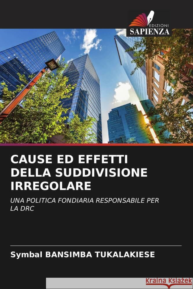 Cause Ed Effetti Della Suddivisione Irregolare Symbal Bansimb 9786206679752 Edizioni Sapienza