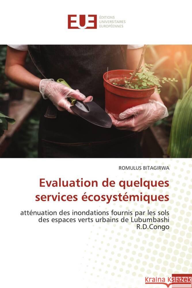 Evaluation de quelques services écosystémiques BITAGIRWA, ROMULUS 9786206688785