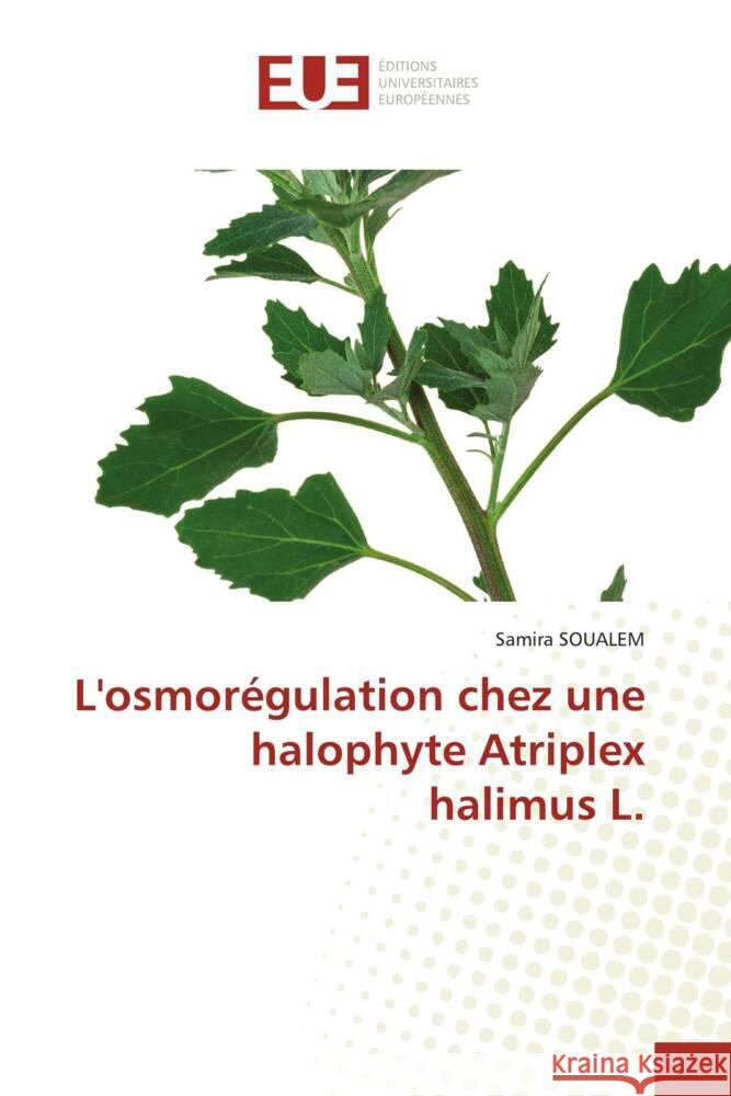 L'osmor?gulation chez une halophyte Atriplex halimus L. Samira Soualem 9786206710356