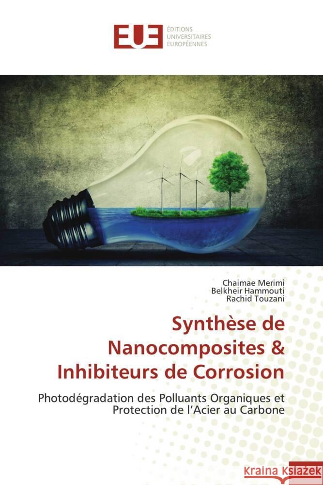 Synth?se de Nanocomposites & Inhibiteurs de Corrosion Chaimae Merimi Belkheir Hammouti Rachid Touzani 9786206725909 Editions Universitaires Europeennes