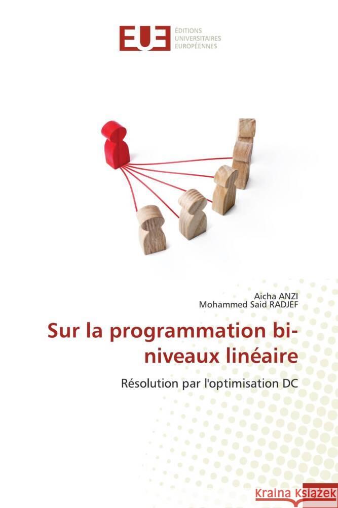 Sur la programmation bi-niveaux linéaire ANZI, Aicha, Radjef, Mohammed Said 9786206728689 Éditions universitaires européennes