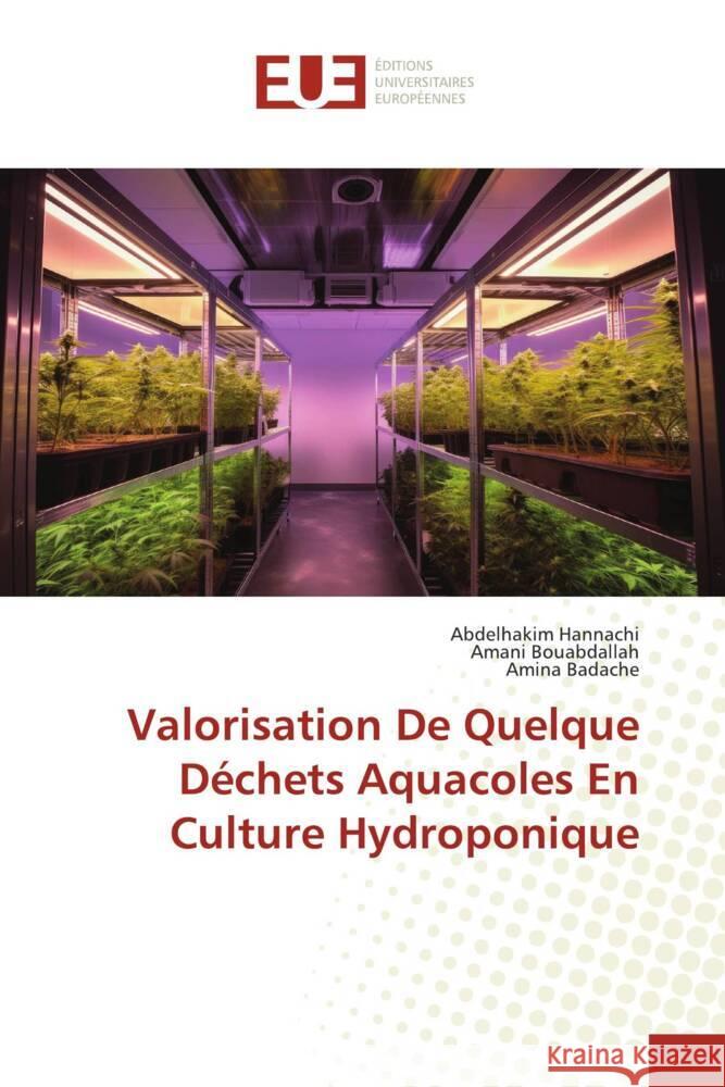 Valorisation De Quelque Déchets Aquacoles En Culture Hydroponique Hannachi, Abdelhakim, Bouabdallah, Amani, Badache, Amina 9786206729389