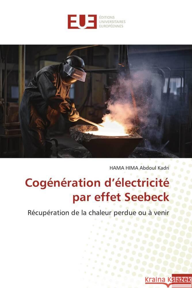 Cogénération d'électricité par effet Seebeck Abdoul Kadri, HAMA HIMA 9786206734147 Éditions universitaires européennes