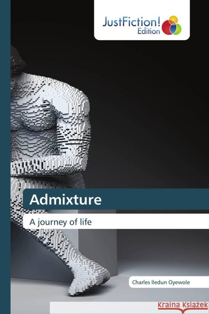 Admixture Iledun Oyewole, Charles 9786206749226 JustFiction Edition