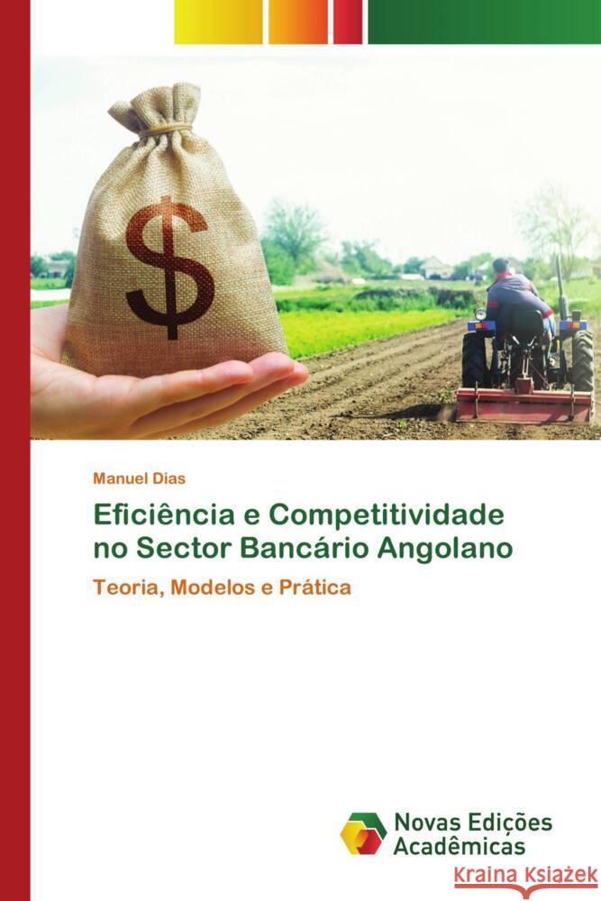 Eficiência e Competitividade no Sector Bancário Angolano Dias, Manuel 9786206757214