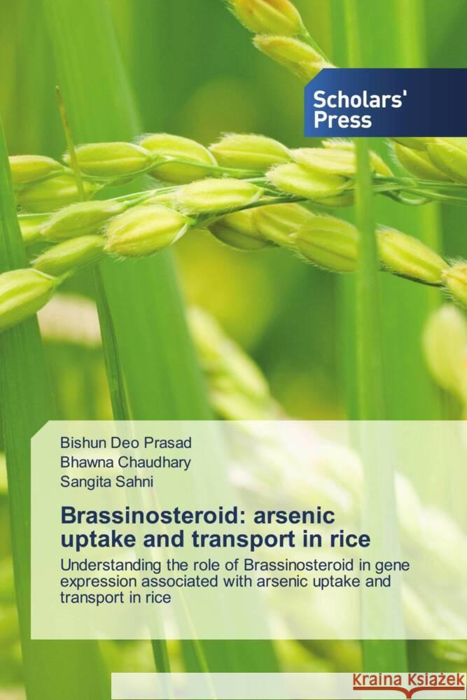 Brassinosteroid: arsenic uptake and transport in rice Bishun De Bhawna Chaudhary Sangita Sahni 9786206774396 Scholars' Press