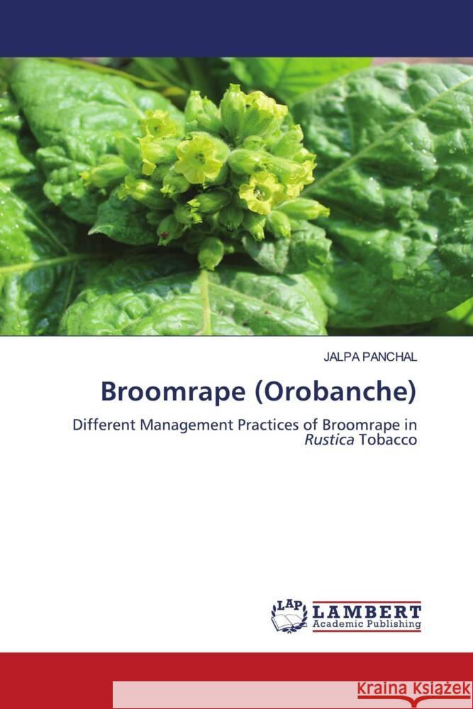 Broomrape (Orobanche) PANCHAL, JALPA 9786206783275 LAP Lambert Academic Publishing