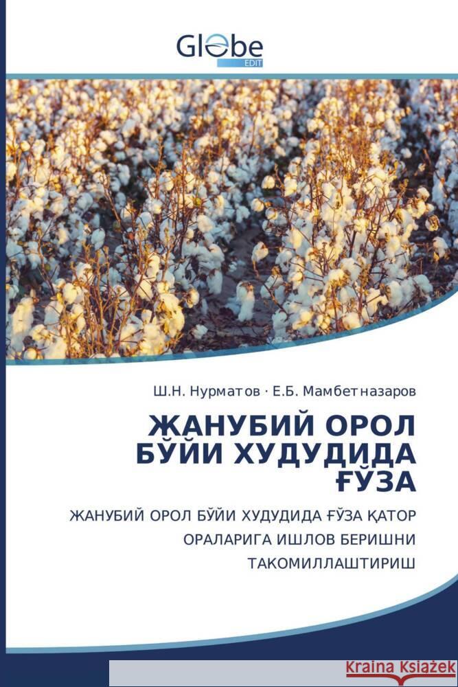 Tadschikischer Titel ________, _._., _____________, _._. 9786206796985 GlobeEdit