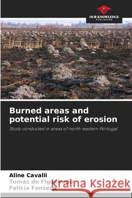 Burned areas and potential risk of erosion Cavalli, Aline, de Figueiredo, Tomás, Fonseca, Felícia 9786206806967