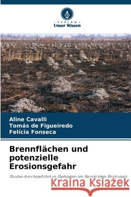 Brennflächen und potenzielle Erosionsgefahr Cavalli, Aline, de Figueiredo, Tomás, Fonseca, Felícia 9786206806974