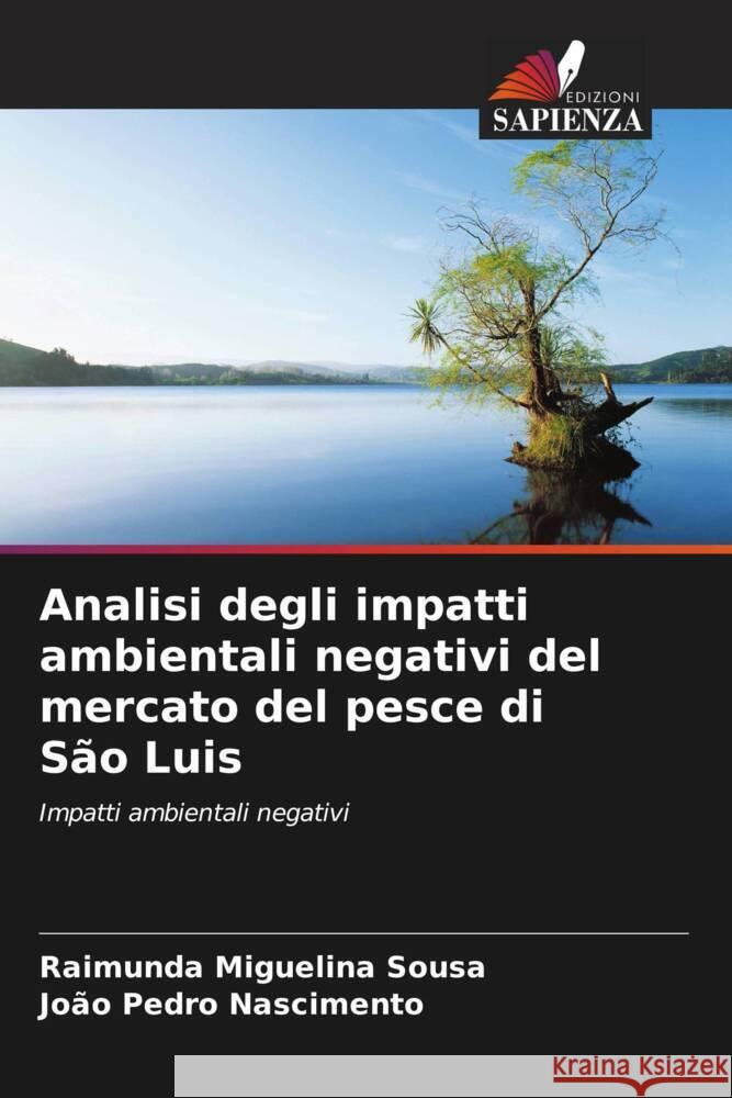 Analisi degli impatti ambientali negativi del mercato del pesce di São Luis Sousa, Raimunda Miguelina, Nascimento, João Pedro 9786206813156