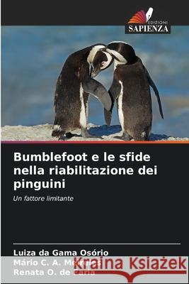 Bumblefoot e le sfide nella riabilitazione dei pinguini da Gama Osório, Luiza, Meireles, Mário C. A., de Faria, Renata O. 9786206816225 Edizioni Sapienza