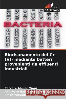 Biorisanamento del Cr (VI) mediante batteri provenienti da effluenti industriali Wani, Parvaze Ahmad, Olamide, Akinware Najimdeen, Zainab, Jimoh Yetunde 9786206819615 Edizioni Sapienza