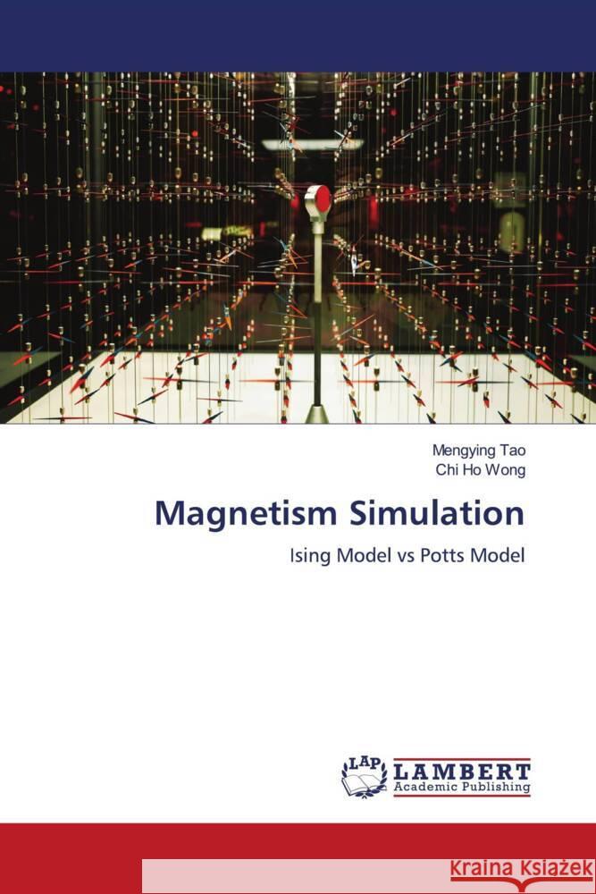 Magnetism Simulation Tao, Mengying, Wong, Chi Ho 9786206843245 LAP Lambert Academic Publishing