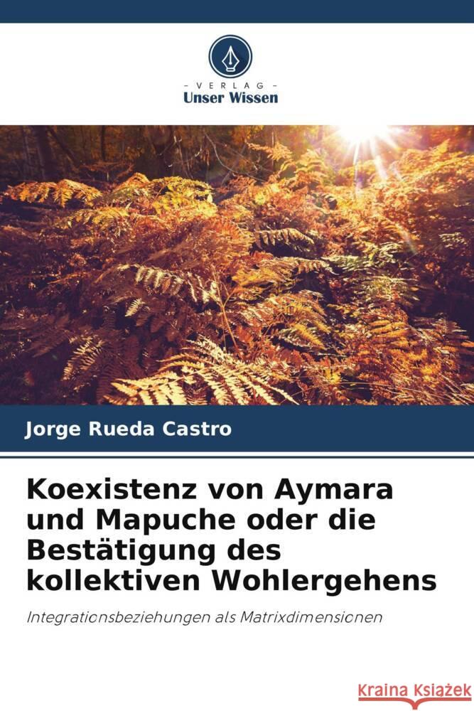 Koexistenz von Aymara und Mapuche oder die Bestätigung des kollektiven Wohlergehens Rueda Castro, Jorge 9786206870272