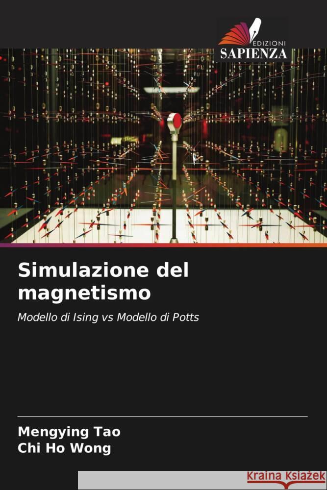 Simulazione del magnetismo Tao, Mengying, Wong, Chi Ho 9786206874355 Edizioni Sapienza