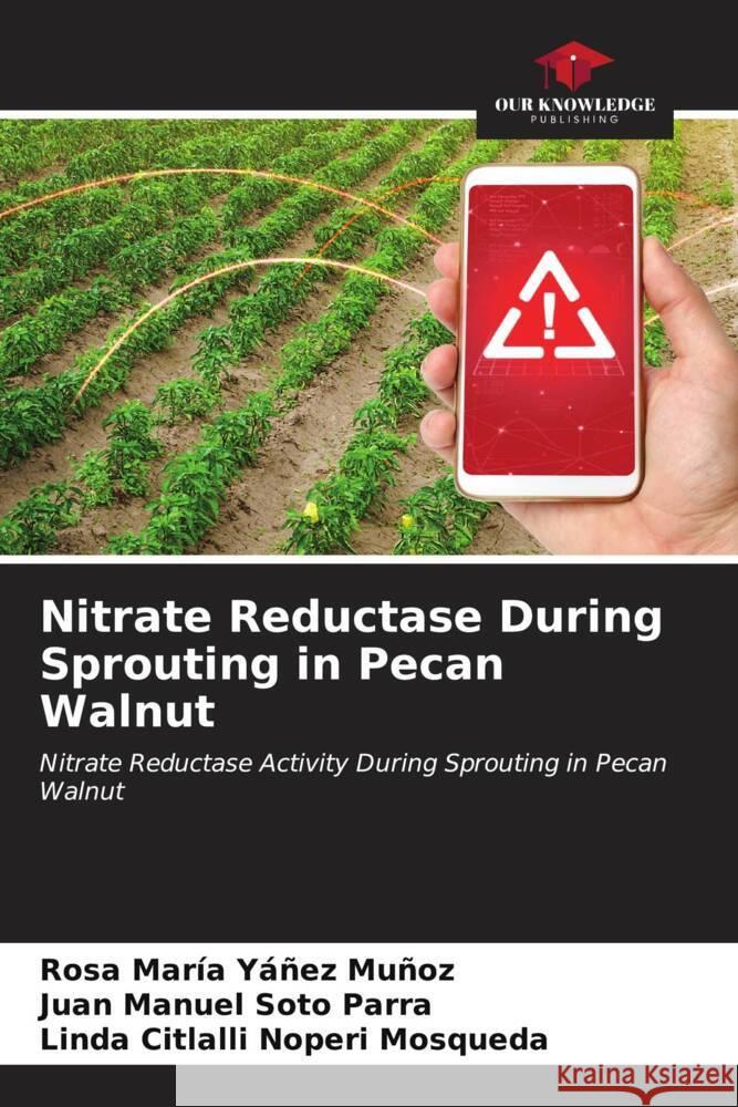 Nitrate Reductase During Sprouting in Pecan Walnut Rosa Mar?a Y??e Juan Manuel Sot Linda Citlalli Noper 9786206875581 Our Knowledge Publishing