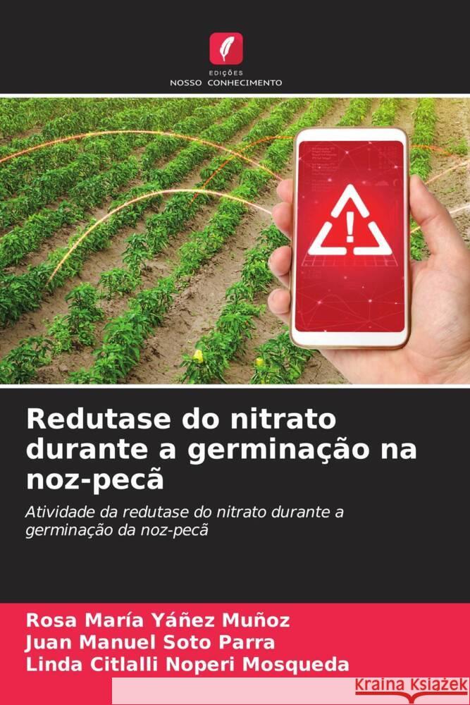 Redutase do nitrato durante a germinação na noz-pecã Yáñez Muñoz, Rosa María, Soto Parra, Juan Manuel, Noperi Mosqueda, Linda Citlalli 9786206875611