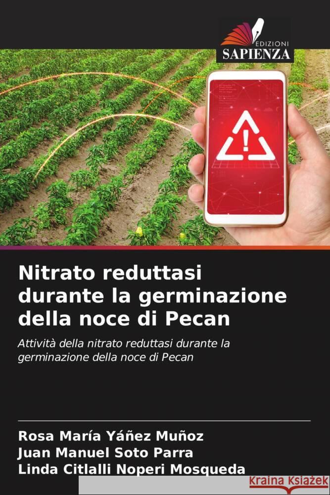 Nitrato reduttasi durante la germinazione della noce di Pecan Rosa Mar?a Y??e Juan Manuel Sot Linda Citlalli Noper 9786206875635 Edizioni Sapienza