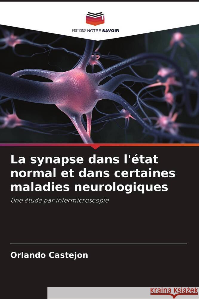 La synapse dans l'?tat normal et dans certaines maladies neurologiques Orlando Castejon 9786206880820