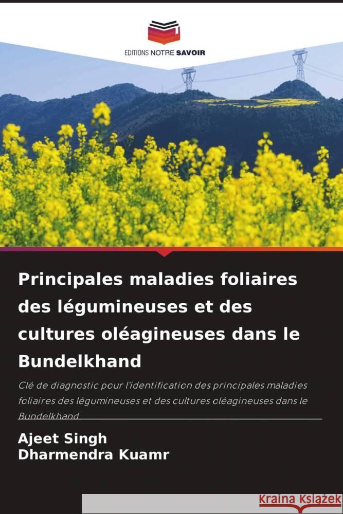 Principales maladies foliaires des l?gumineuses et des cultures ol?agineuses dans le Bundelkhand Ajeet Singh Dharmendra Kuamr 9786206922209