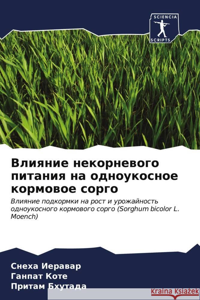 Vliqnie nekornewogo pitaniq na odnoukosnoe kormowoe sorgo Ierawar, Sneha, Kote, Ganpat, Bhutada, Pritam 9786206939801 Sciencia Scripts