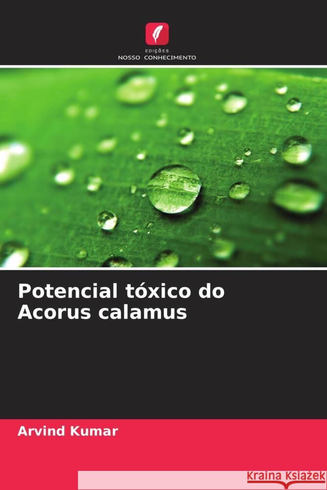 Potencial t?xico do Acorus calamus Arvind Kumar 9786206954507