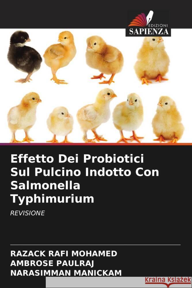 Effetto Dei Probiotici Sul Pulcino Indotto Con Salmonella Typhimurium Razack Raf Ambrose Paulraj Narasimman Manickam 9786206957027