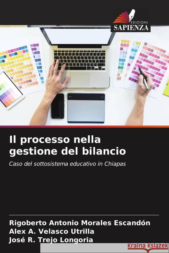 Il processo nella gestione del bilancio Rigoberto Antonio Morale Alex A. Velasc Jos? R. Trej 9786206958000 Edizioni Sapienza