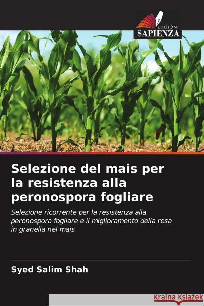 Selezione del mais per la resistenza alla peronospora fogliare Syed Salim Shah 9786206965251
