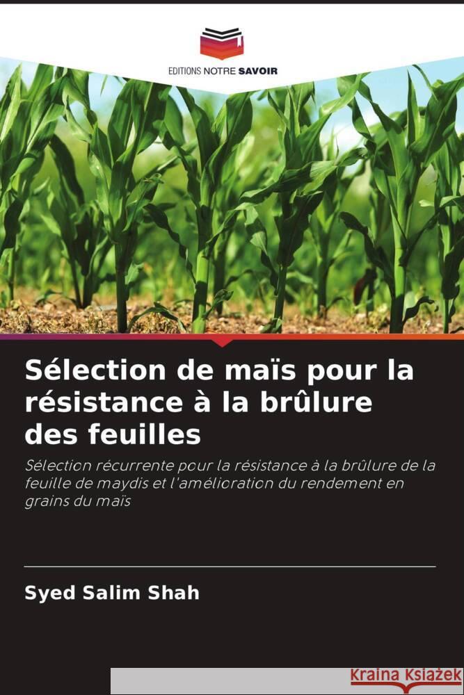 Sélection de maïs pour la résistance à la brûlure des feuilles Shah, Syed Salim 9786206965268 Editions Notre Savoir