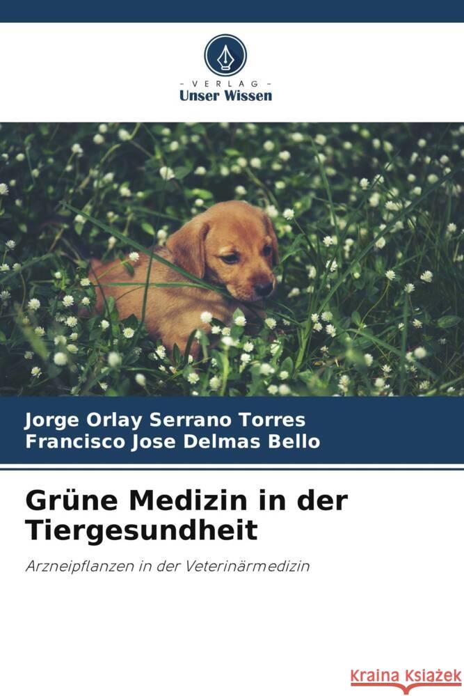 Grüne Medizin in der Tiergesundheit Serrano Torres, Jorge Orlay, Delmás Bello, Francisco José 9786206972402