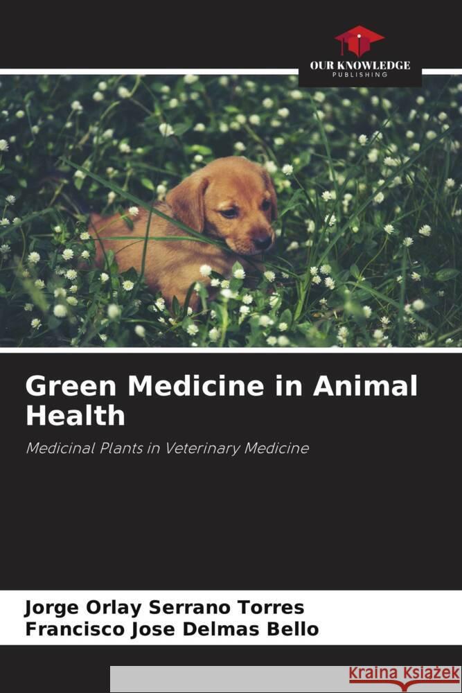 Green Medicine in Animal Health Serrano Torres, Jorge Orlay, Delmás Bello, Francisco José 9786206972419