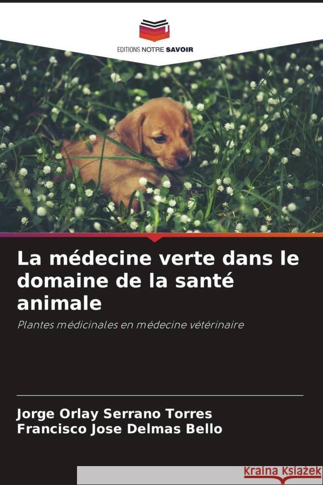 La médecine verte dans le domaine de la santé animale Serrano Torres, Jorge Orlay, Delmás Bello, Francisco José 9786206972426