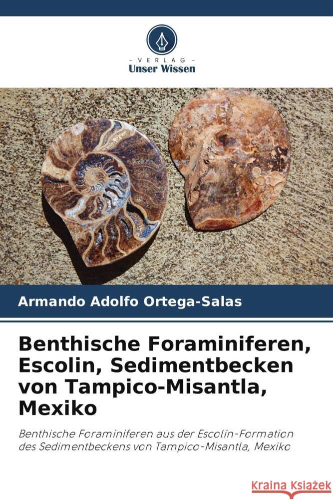 Benthische Foraminiferen, Escolin, Sedimentbecken von Tampico-Misantla, Mexiko Armando Adolfo Ortega-Salas 9786206992424