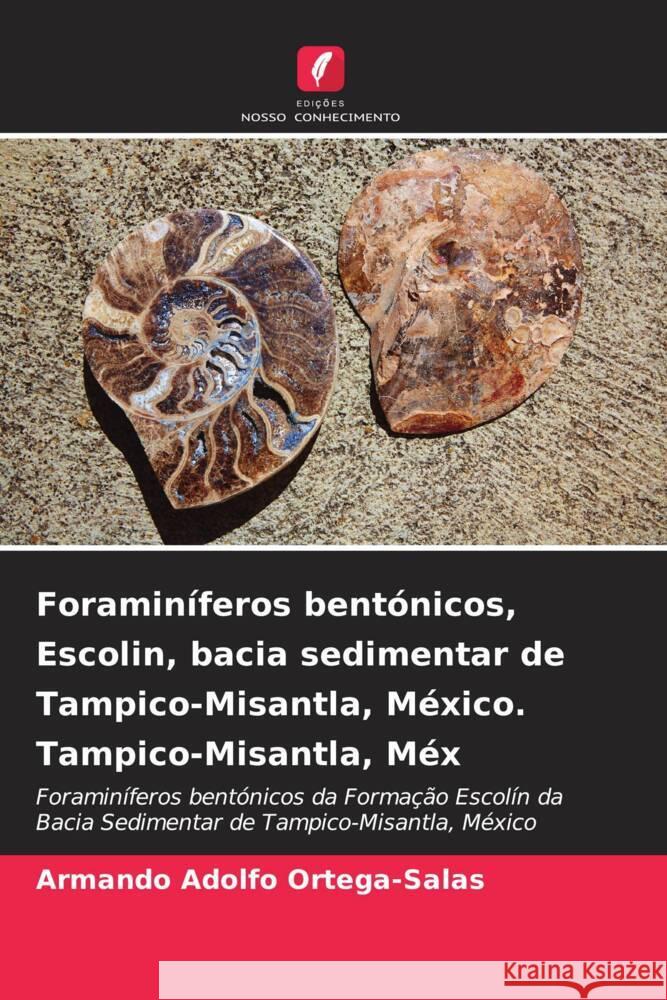 Foramin?feros bent?nicos, Escolin, bacia sedimentar de Tampico-Misantla, M?xico. Tampico-Misantla, M?x Armando Adolfo Ortega-Salas 9786206992462