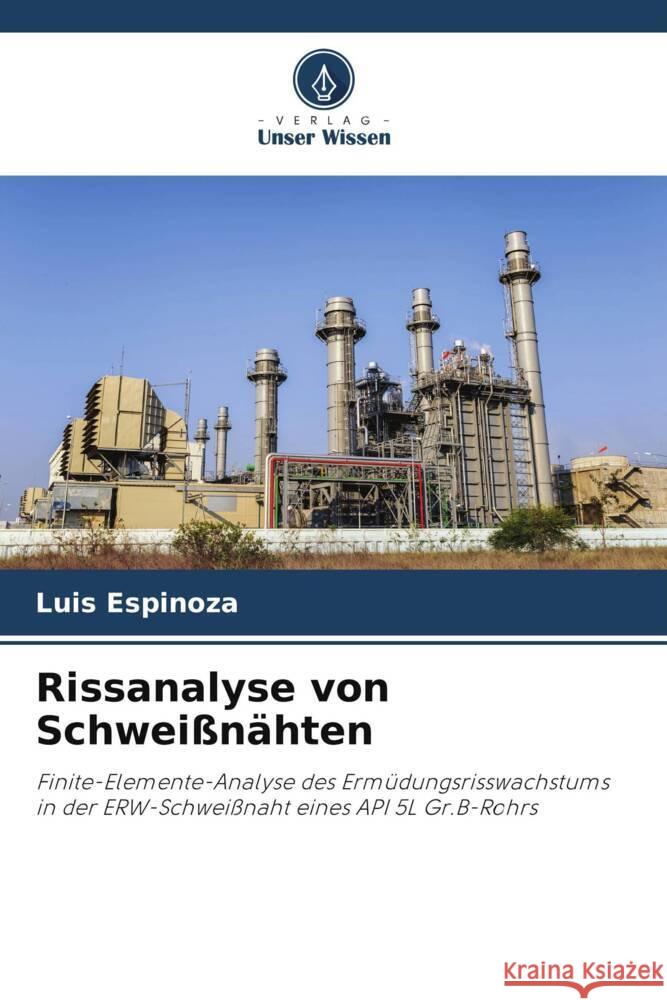 Rissanalyse von Schwei?n?hten Luis Espinoza 9786207001651