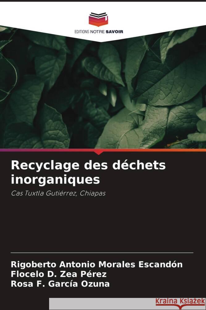 Recyclage des d?chets inorganiques Rigoberto Antonio Morale Flocelo D. Ze Rosa F. Garc? 9786207001910