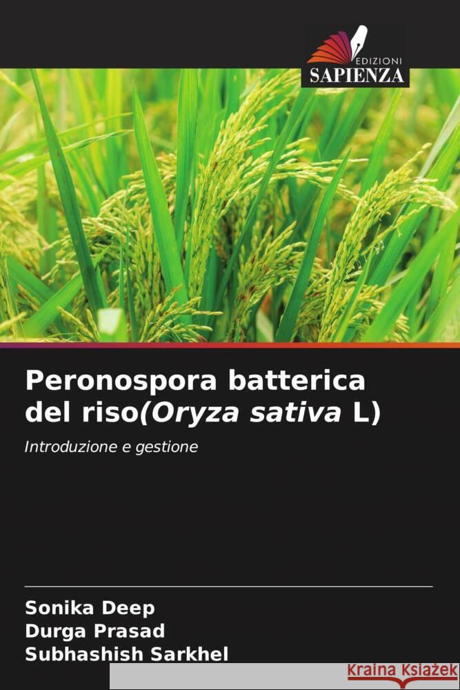 Peronospora batterica del riso(Oryza sativa L) Sonika Deep Durga Prasad Subhashish Sarkhel 9786207005826