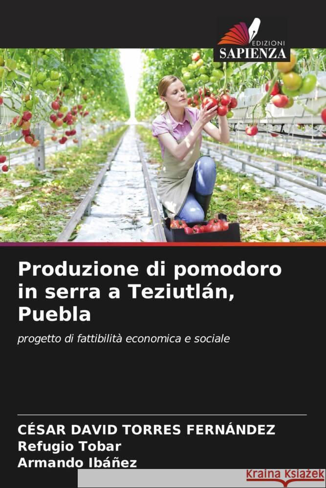 Produzione di pomodoro in serra a Teziutl?n, Puebla C?sar David Torre Refugio Tobar Armando Ib??ez 9786207023417