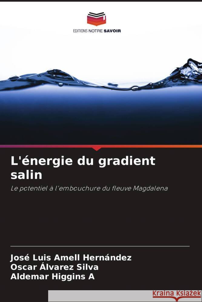 L'?nergie du gradient salin Jos? Luis Amel Oscar Alvare Aldemar Higgin 9786207031993 Editions Notre Savoir
