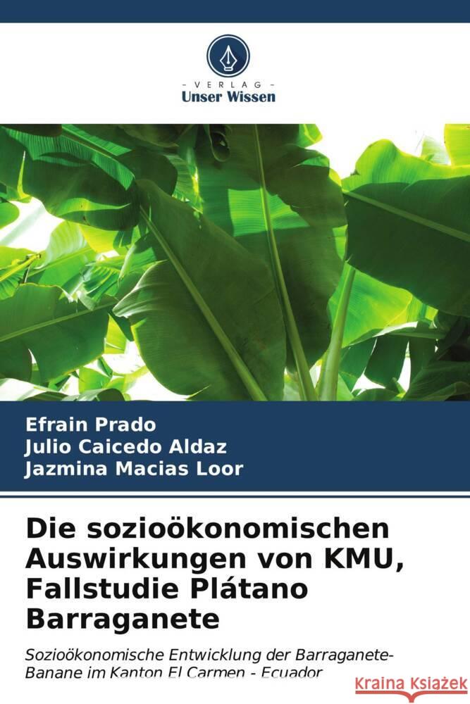 Die sozio?konomischen Auswirkungen von KMU, Fallstudie Pl?tano Barraganete Efra?n Prado Julio Caiced Jazmina Macia 9786207040636