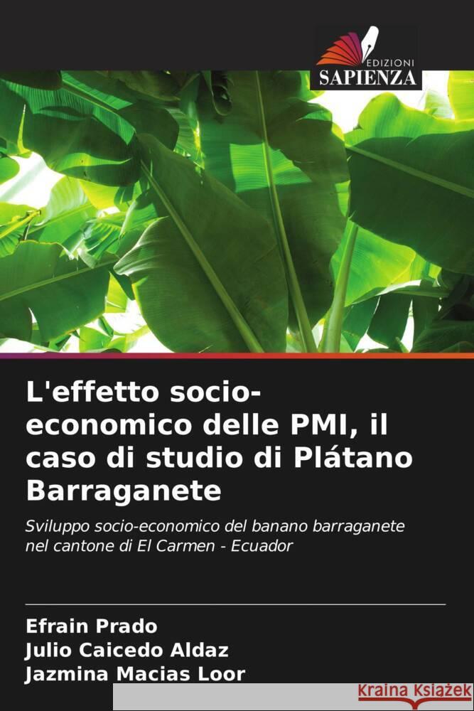 L'effetto socio-economico delle PMI, il caso di studio di Pl?tano Barraganete Efra?n Prado Julio Caiced Jazmina Macia 9786207040674