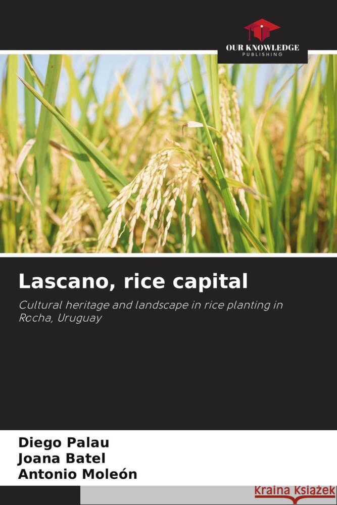 Lascano, rice capital Palau, Diego, Batel, Joana, Moleón, Antonio 9786207088232