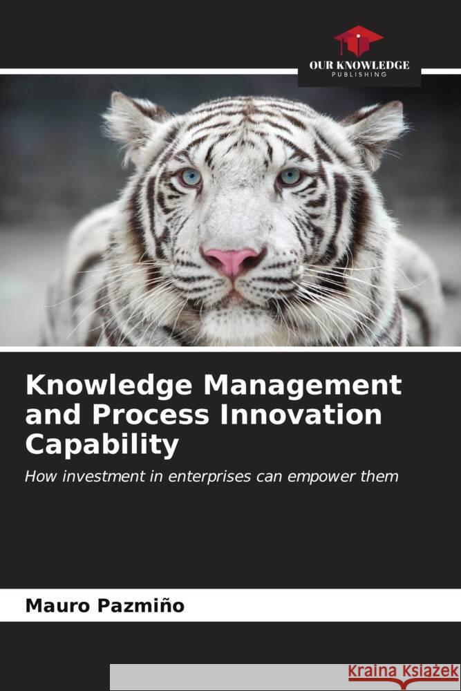 Knowledge Management and Process Innovation Capability Pazmiño, Mauro 9786207089376