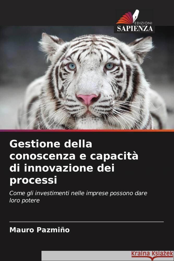 Gestione della conoscenza e capacità di innovazione dei processi Pazmiño, Mauro 9786207089390