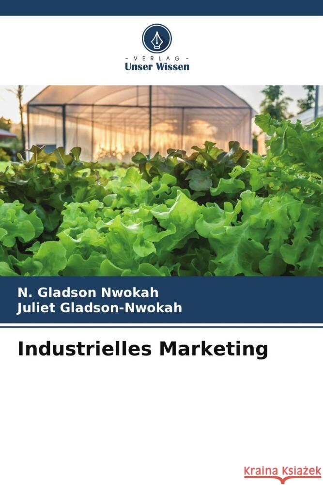 Industrielles Marketing Nwokah, N. Gladson, Gladson-Nwokah, Juliet 9786207098262