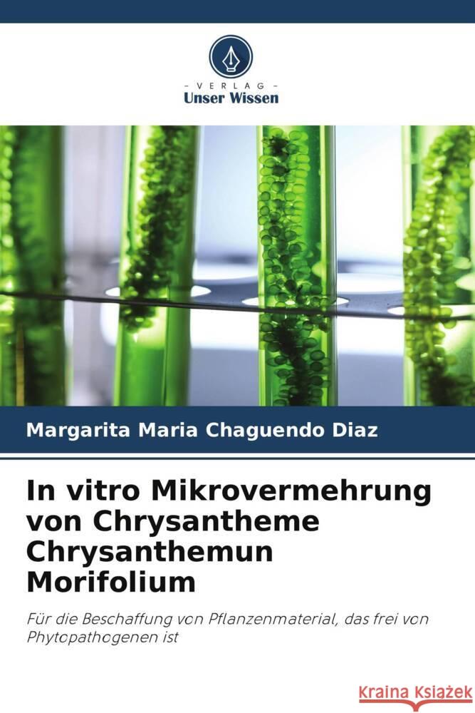 In vitro Mikrovermehrung von Chrysantheme Chrysanthemun Morifolium Chaguendo Diaz, Margarita Maria 9786207100101