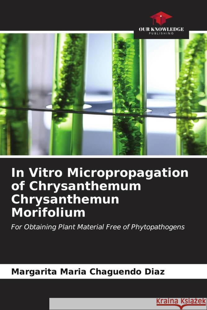 In Vitro Micropropagation of Chrysanthemum Chrysanthemun Morifolium Chaguendo Diaz, Margarita Maria 9786207100118