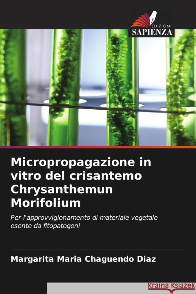 Micropropagazione in vitro del crisantemo Chrysanthemun Morifolium Chaguendo Diaz, Margarita Maria 9786207100132